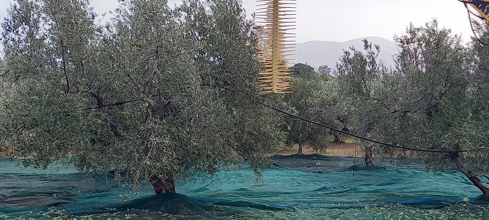 Ktima Develekou Leilighet Pigadhia  Eksteriør bilde